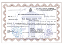 Інститут оцінки та судових експертиз